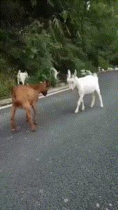 看了就想笑的二十二张图（01）