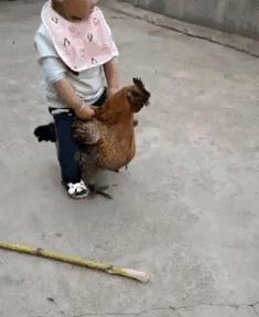 看了没法不笑的二十张图（008）